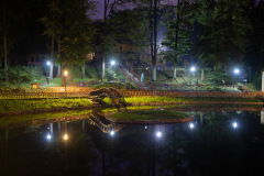 widok-parku-w-nocy